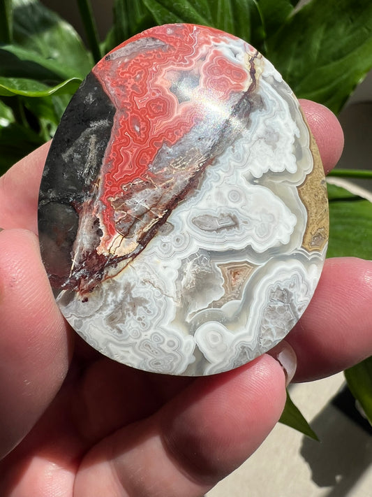 Mexican Crazy Lace Agate Palmstone