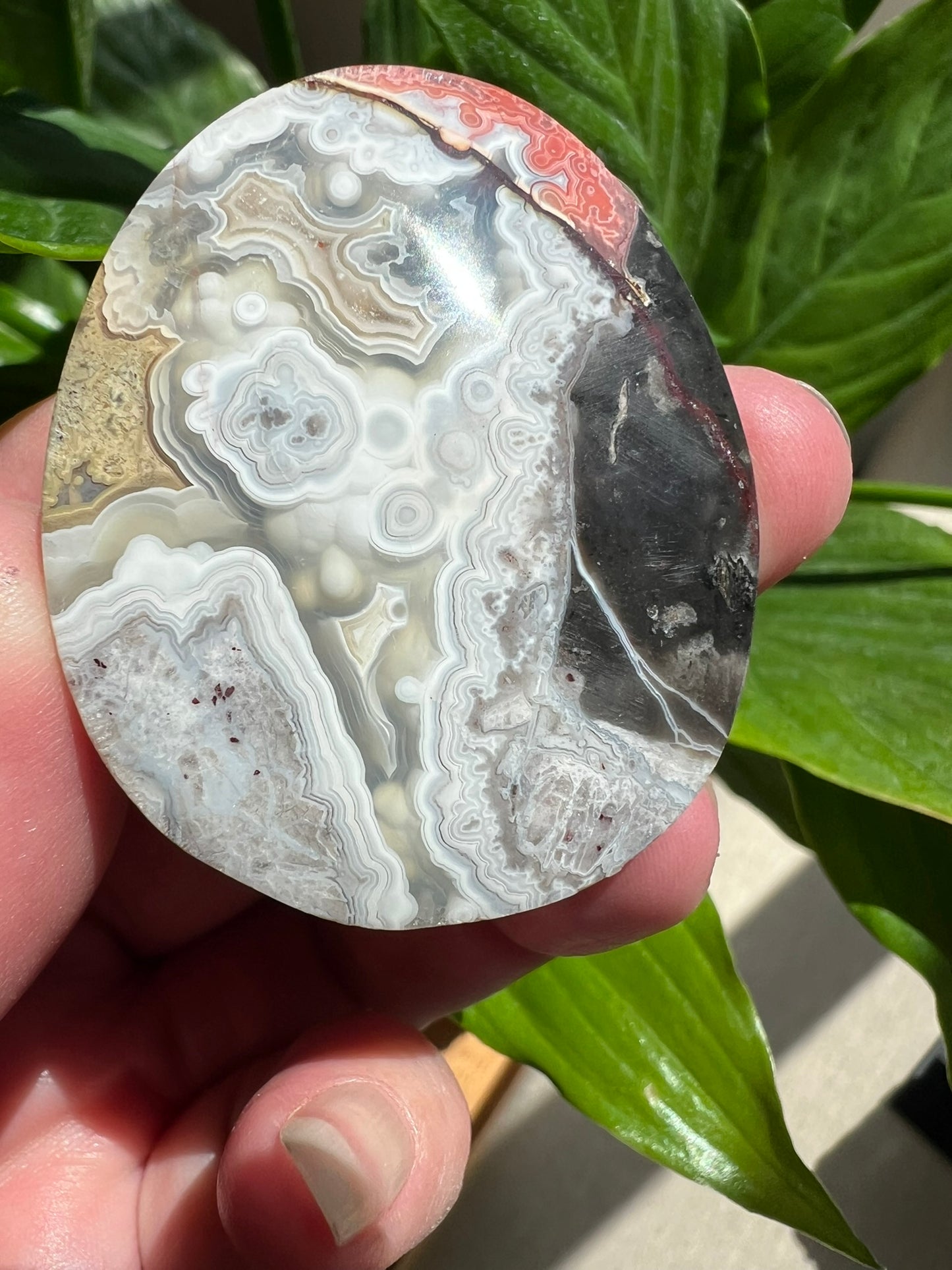 Mexican Crazy Lace Agate Palmstone