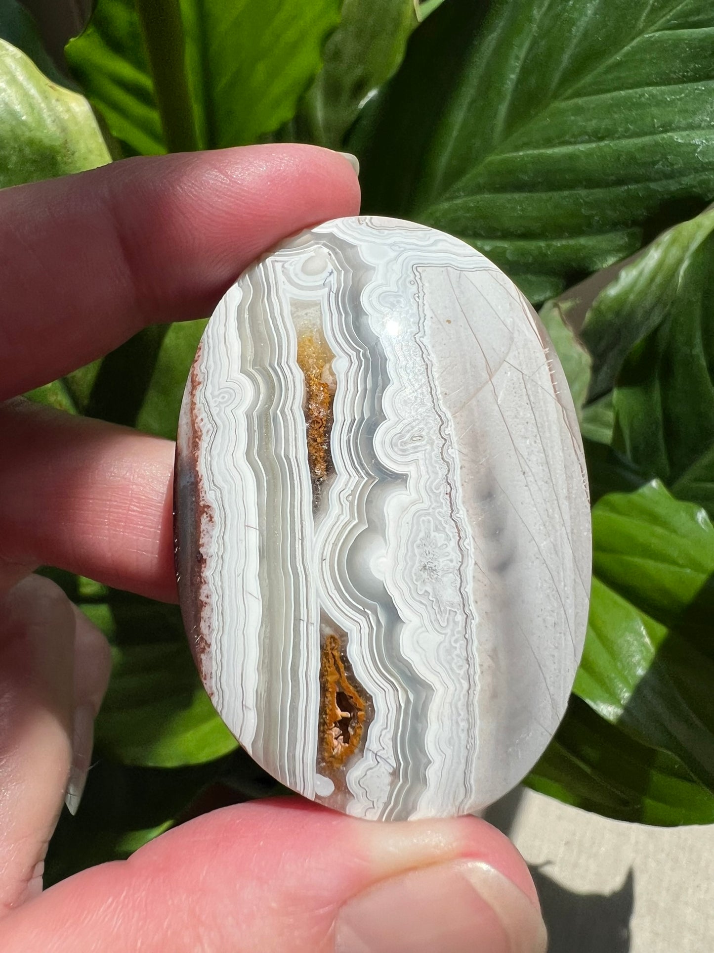 Mexican Crazy Lace Agate Palmstone