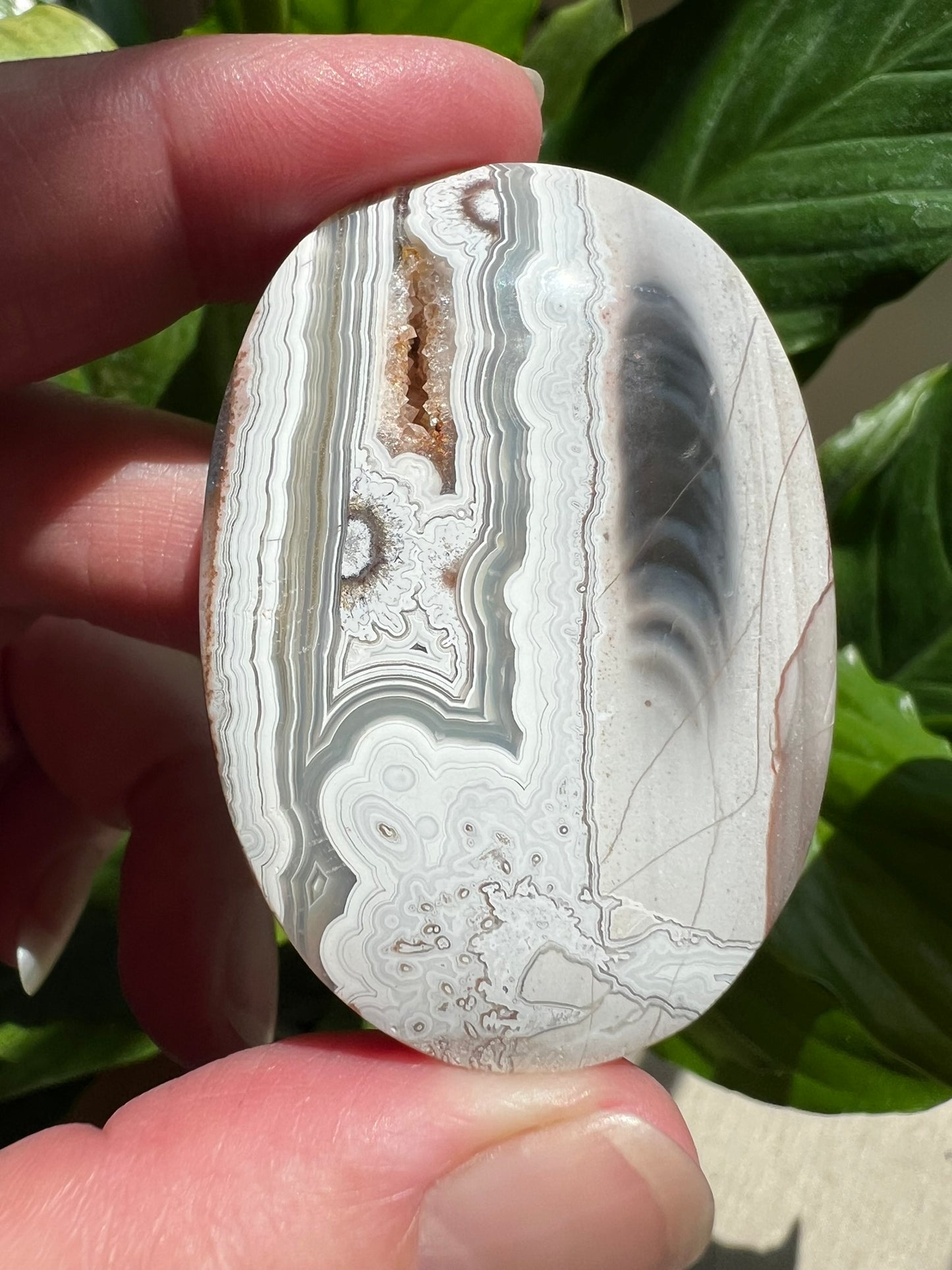 Mexican Crazy Lace Agate Palmstone