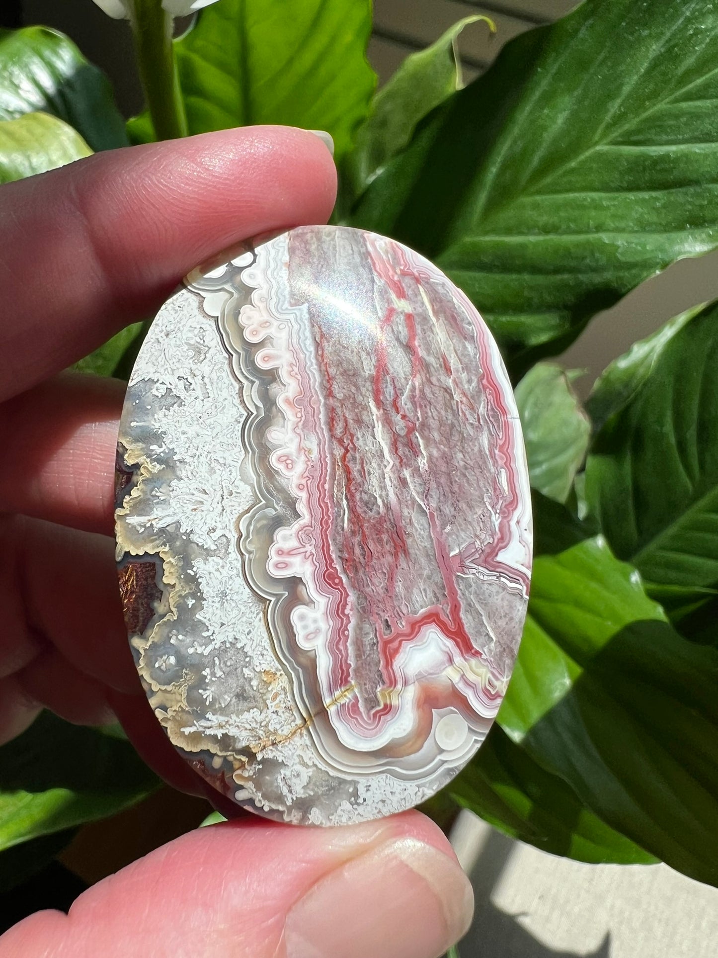 Mexican Crazy Lace Agate Palmstone