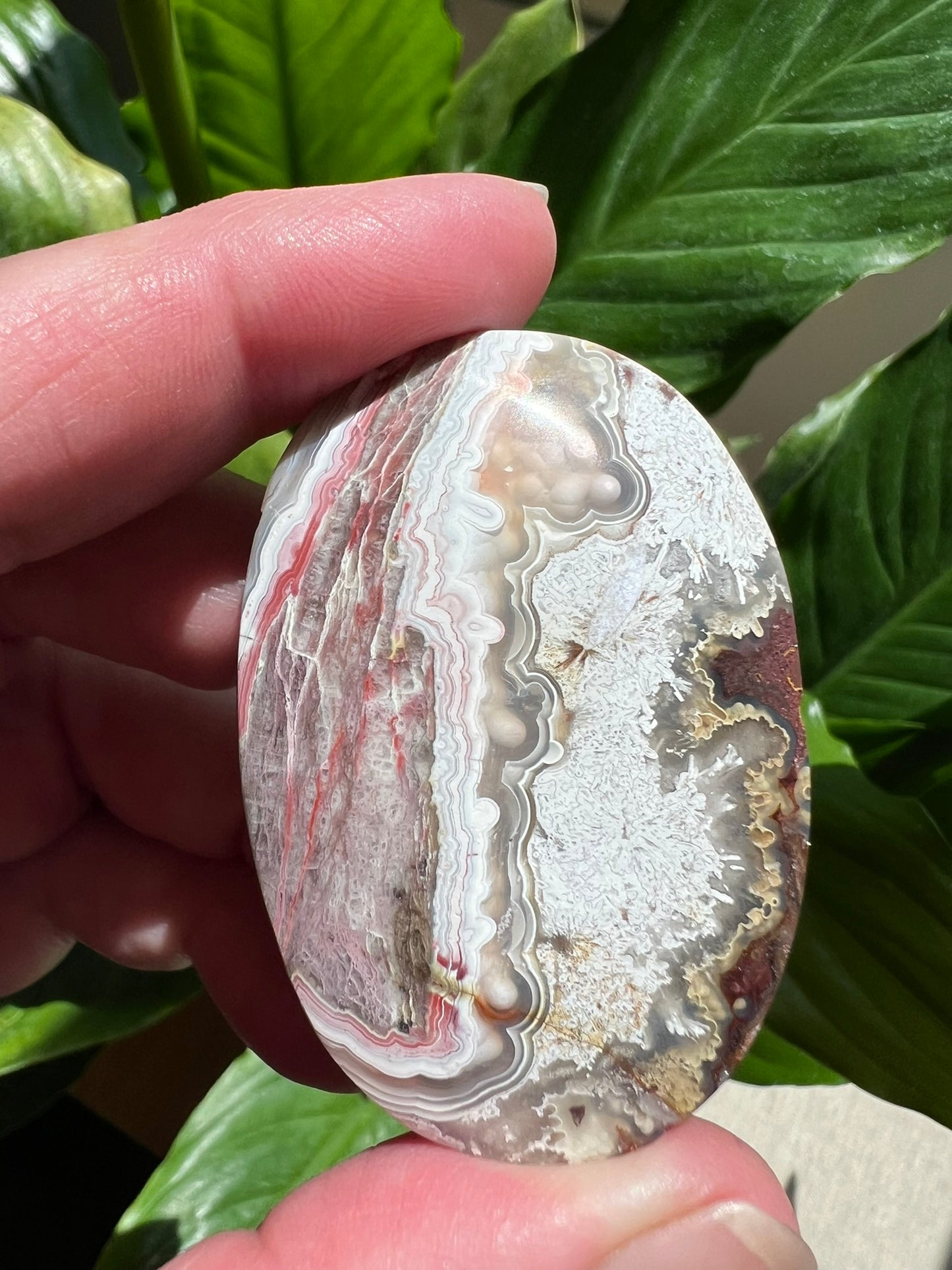 Mexican Crazy Lace Agate Palmstone