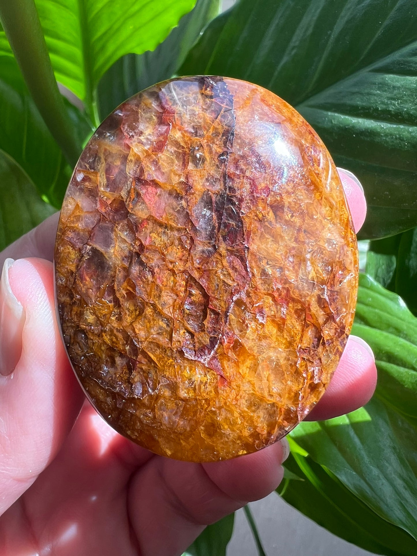 Golden Healer Palmstone