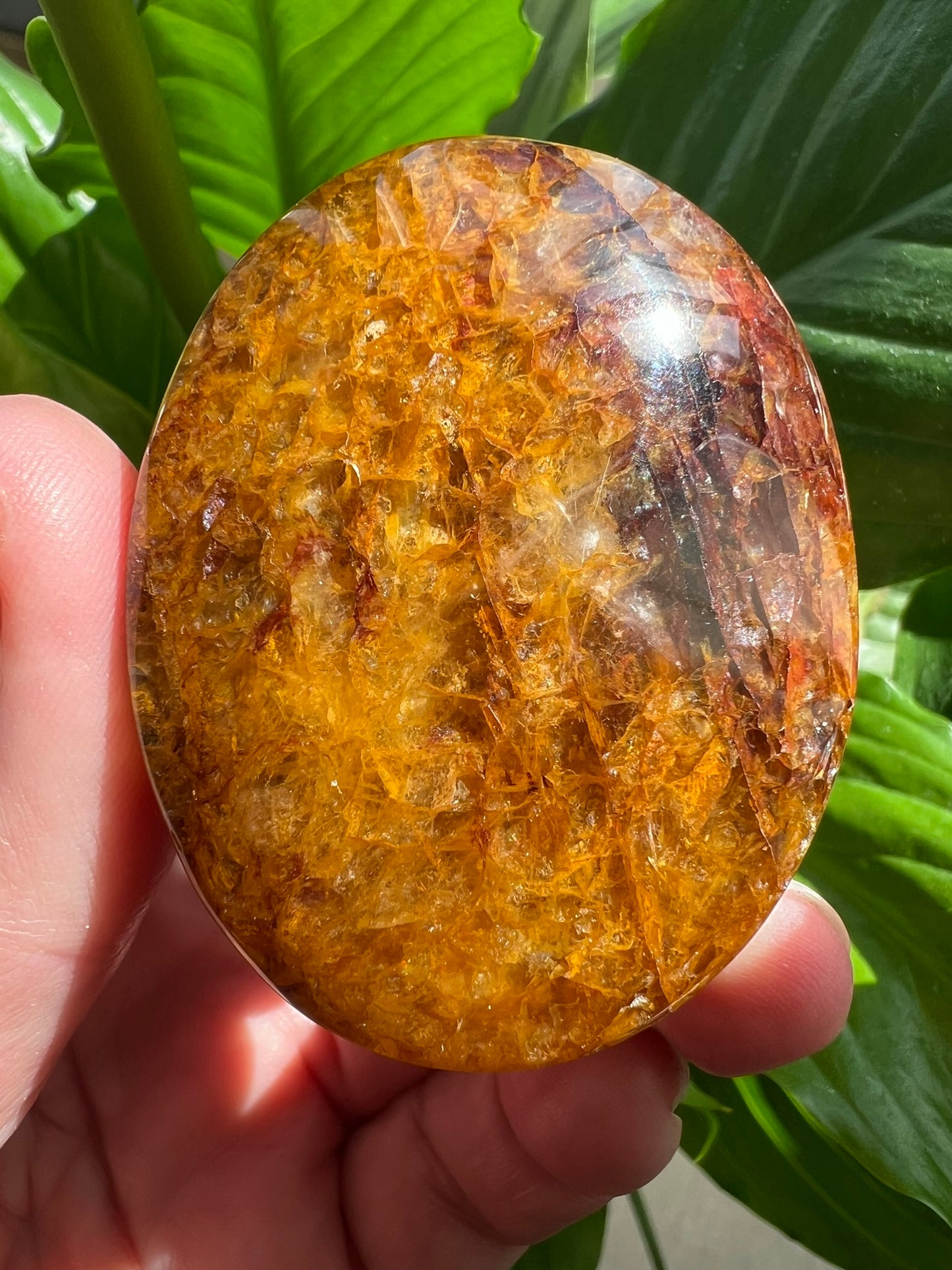 Golden Healer Palmstone