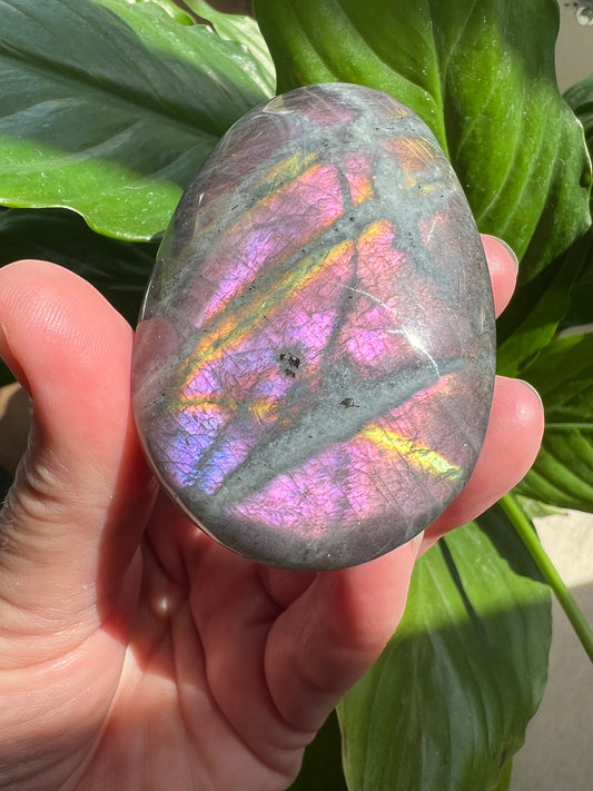 Labradorite Palm