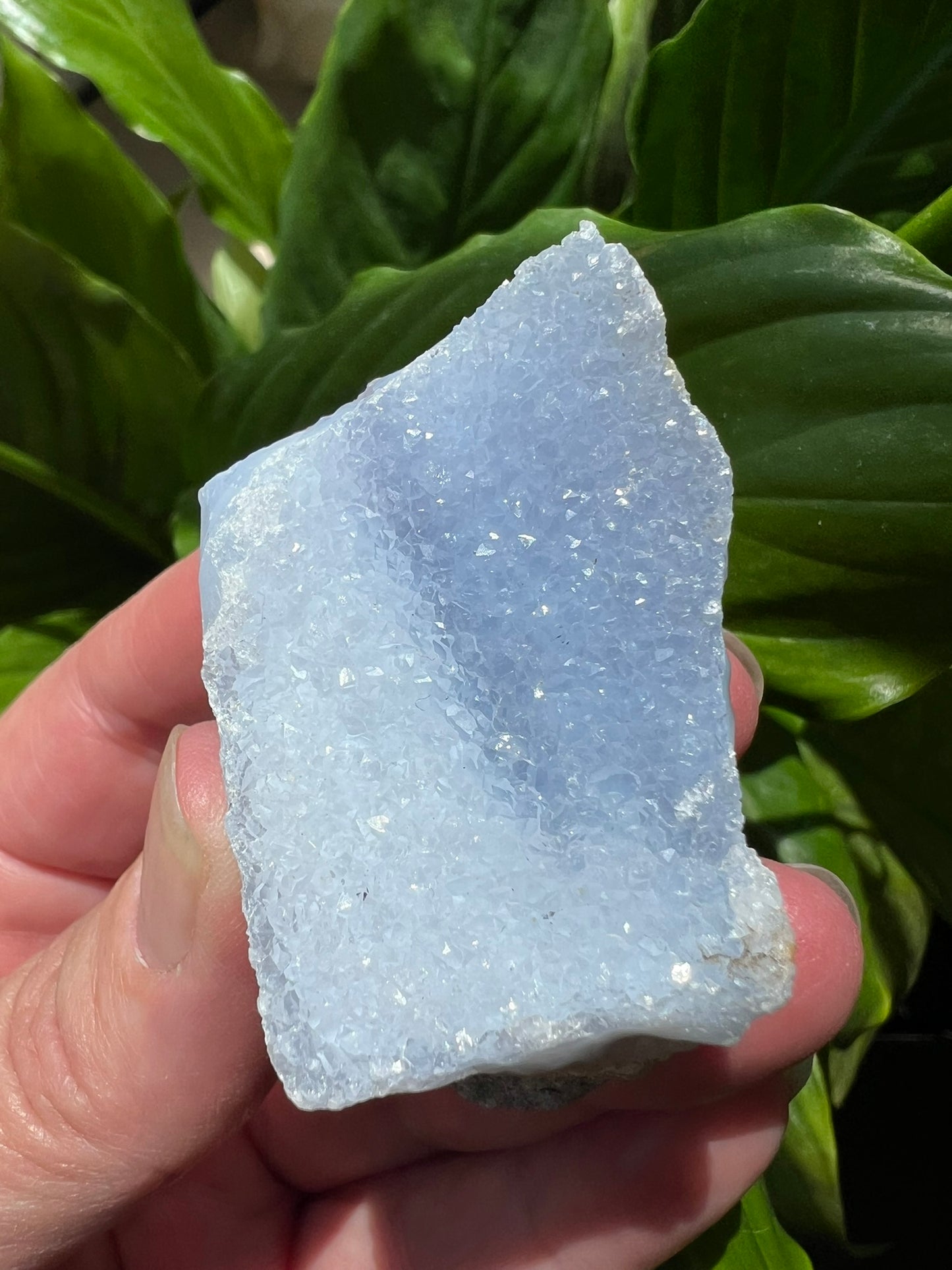 Blue Lace Rough