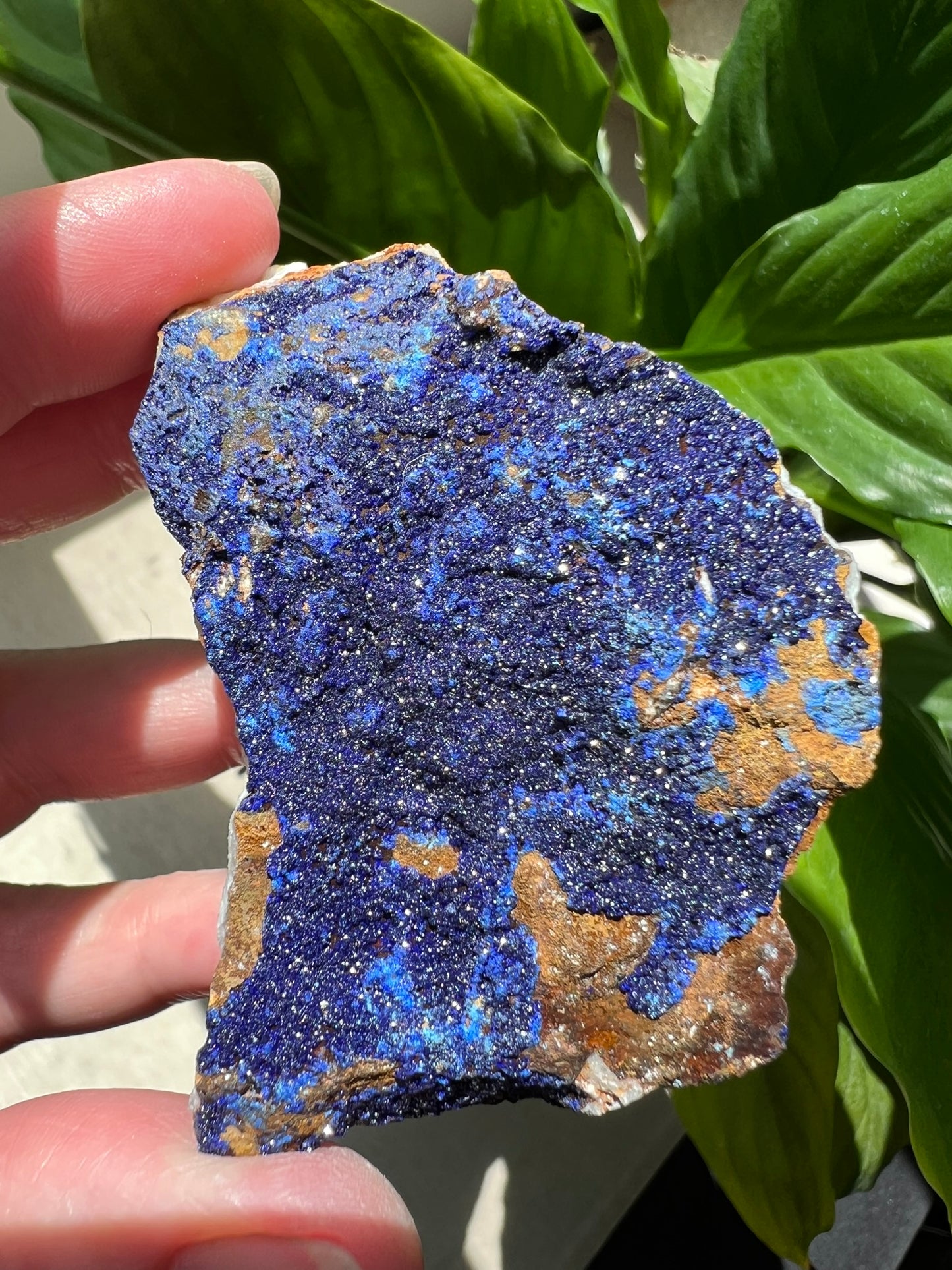 Azurite Speciman/Rough