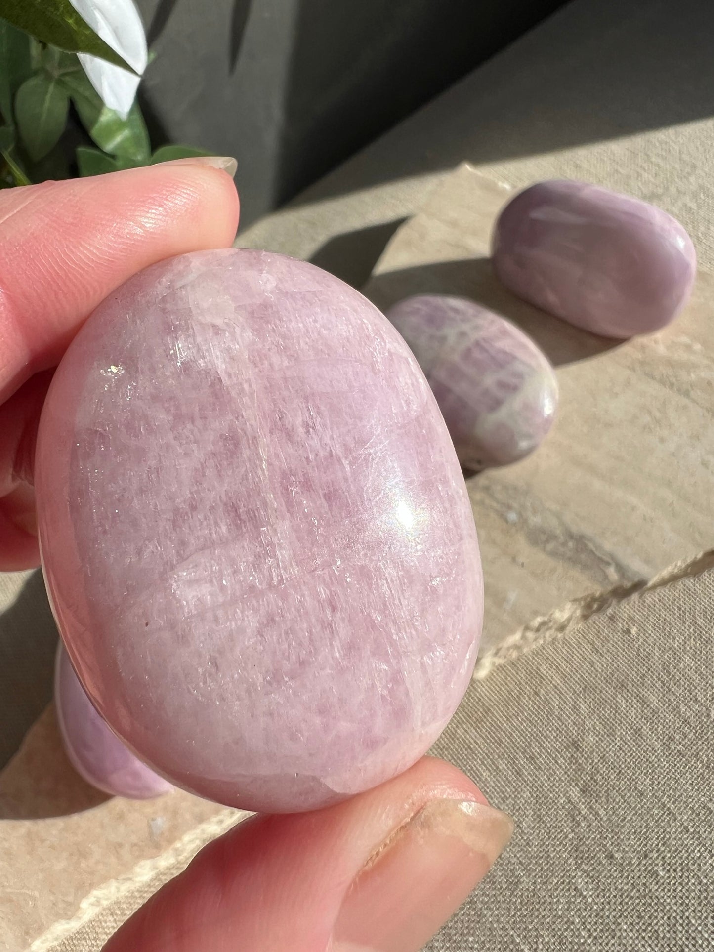 Kunzite Palmstone